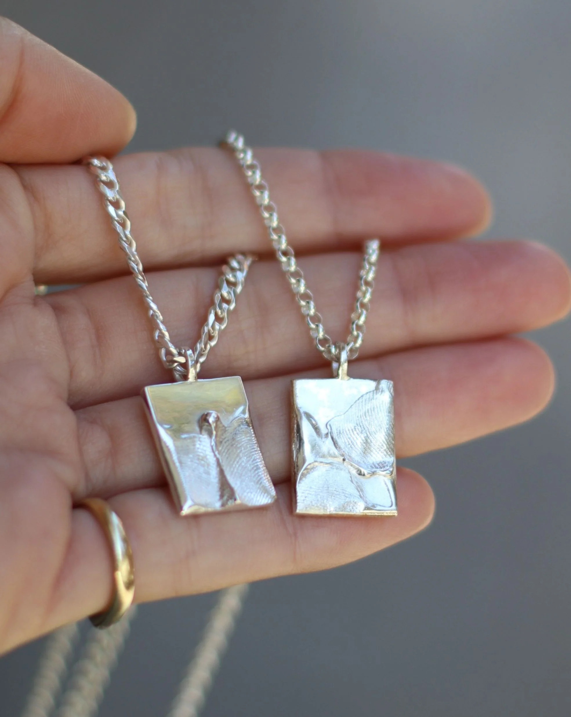 Kit -deja huella- Collar Chapa - Image 3